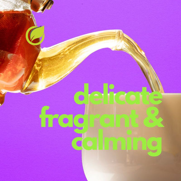 Classic mighTEA Jasmine Green Tea Teabags. 25 Count.