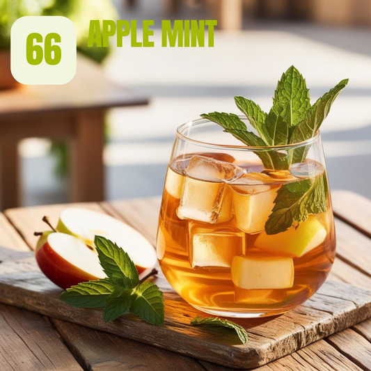 Mint Apple Flavored Black Tea, Nbr 66. 25 Count.